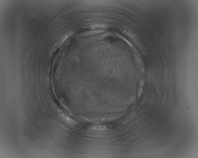 X0000051270353200507011751