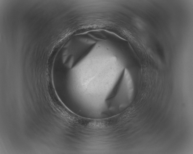 X0000051270354200507011751