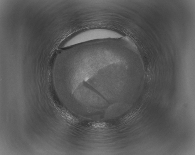 X0000051270355200507011751