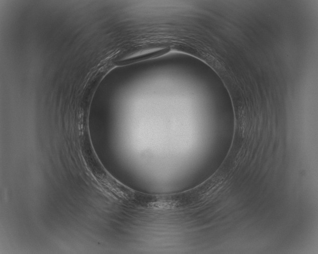 X0000051270356200507011751