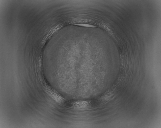 X0000051270357200507011751