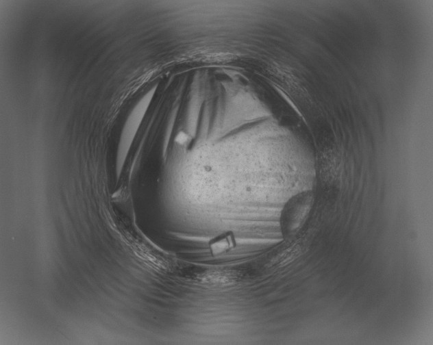 X0000051270358200507011751
