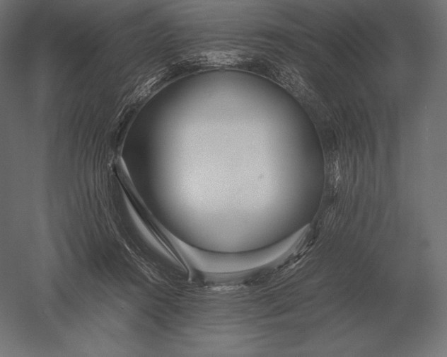 X0000051270360200507011751