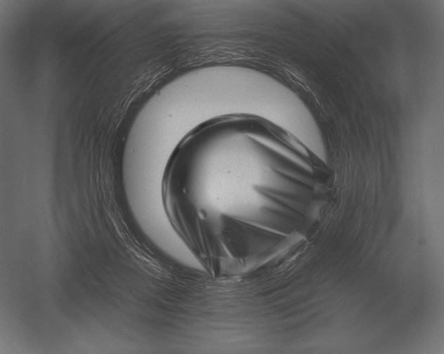 X0000051270362200507011751
