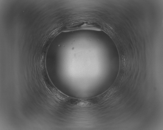 X0000051270364200507011751
