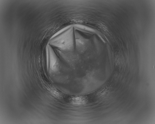 X0000051270365200507011751