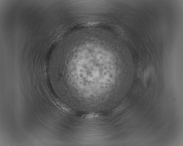 X0000051270366200507011751