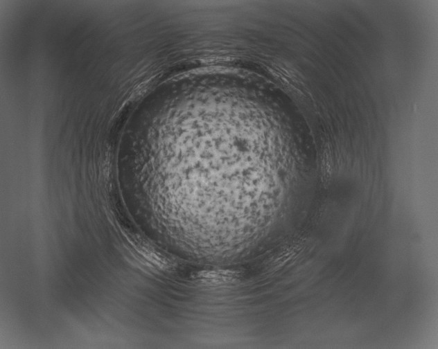 X0000051270367200507011751