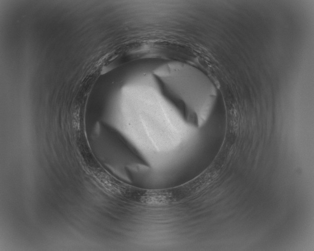 X0000051270368200507011751