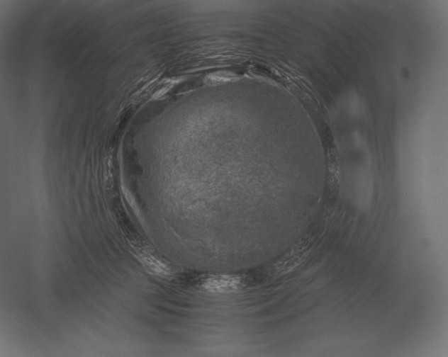 X0000051270369200507011751