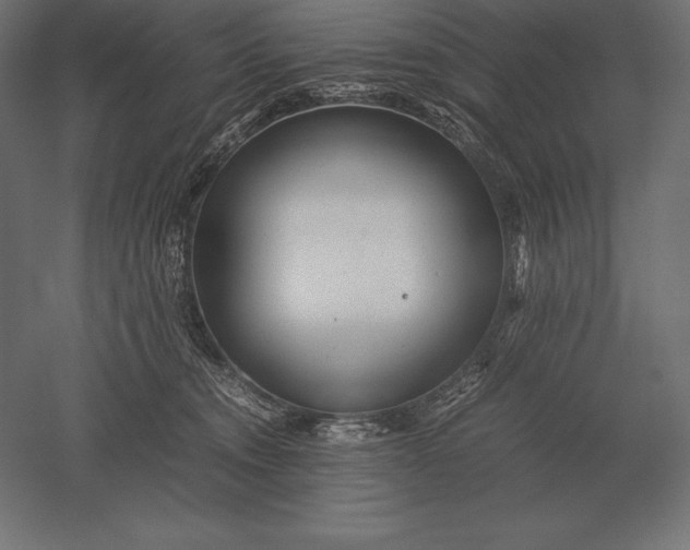X0000051270372200507011751