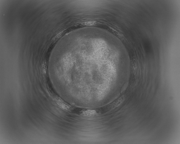 X0000051270374200507011751