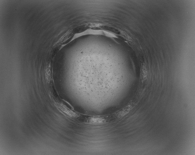 X0000051270376200507011751