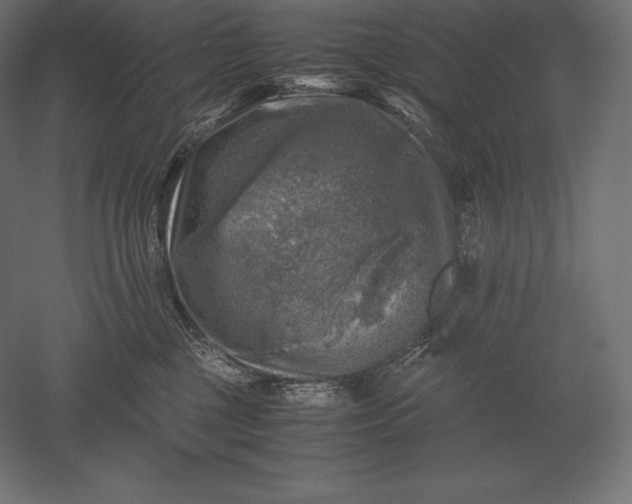 X0000051270377200507011751