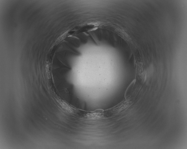 X0000051270378200507011751