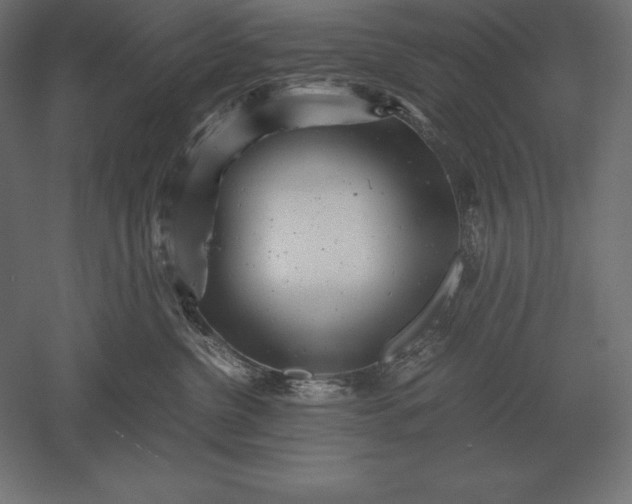 X0000051270380200507011751