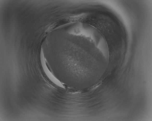X0000051270383200507011751