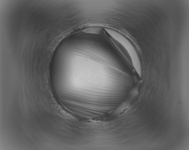 X0000051270385200507011750