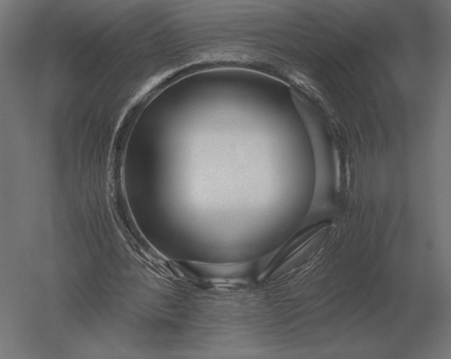X0000051270388200507011750