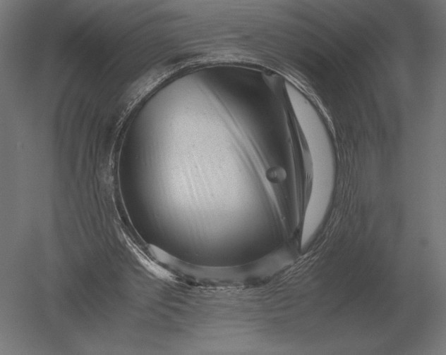 X0000051270389200507011750