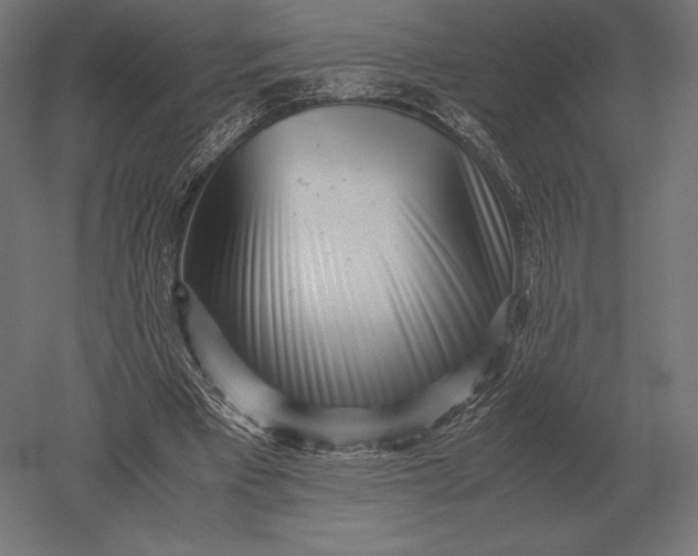 X0000051270393200507011750