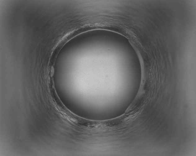 X0000051270395200507011750