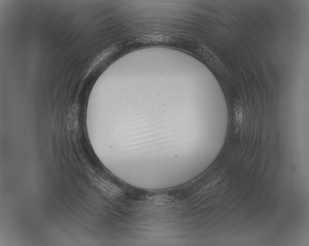 X0000051270396200507011750