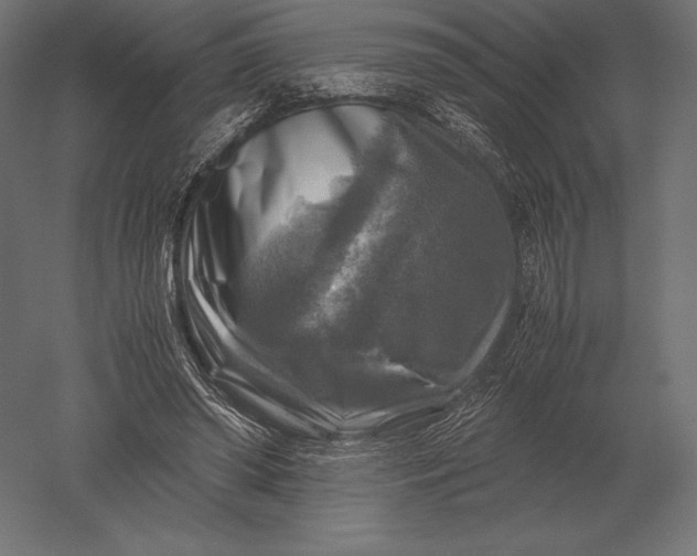 X0000051270398200507011750