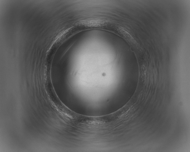 X0000051270400200507011750