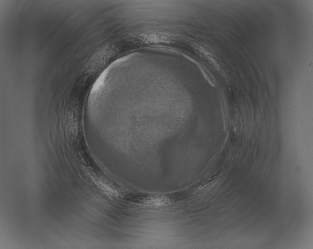 X0000051270402200507011750