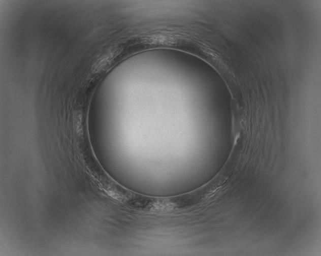 X0000051270403200507011750