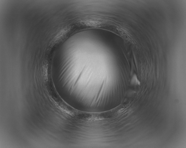 X0000051270404200507011750