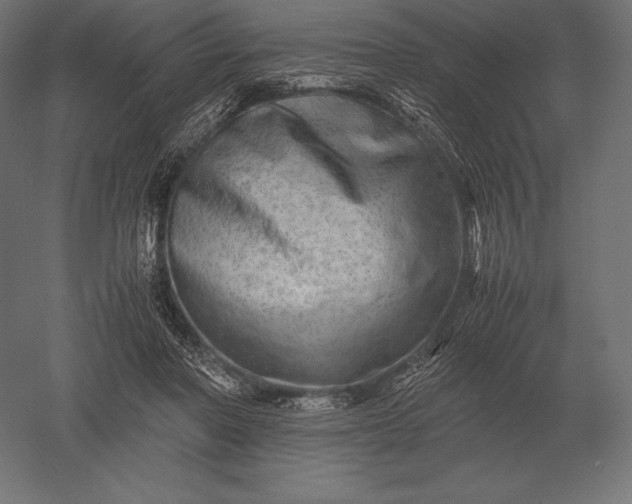 X0000051270406200507011750