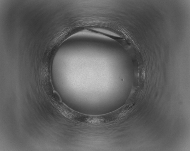 X0000051270407200507011750