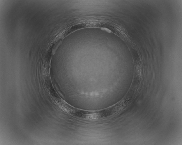 X0000051270411200507011750