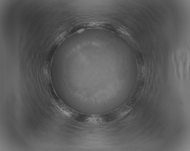 X0000051270415200507011750