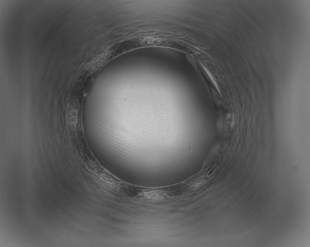 X0000051270417200507011750