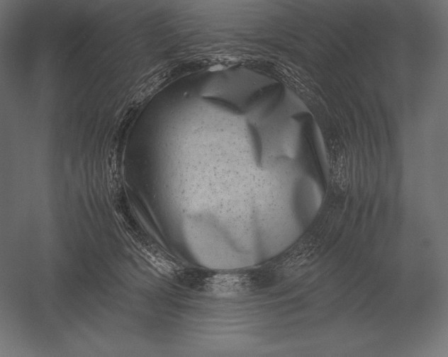 X0000051270418200507011750