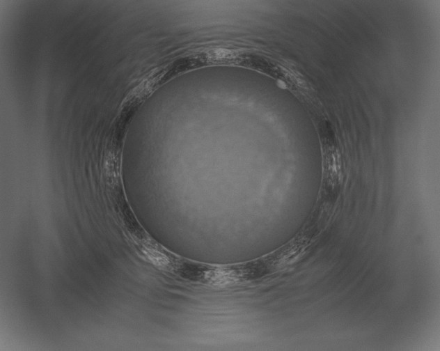 X0000051270419200507011750
