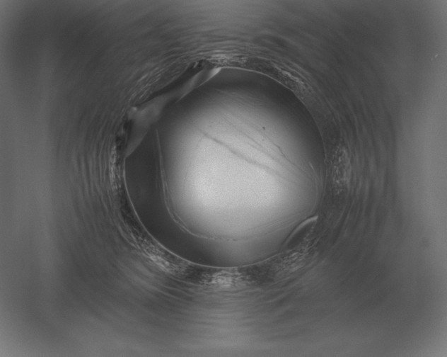 X0000051270420200507011750