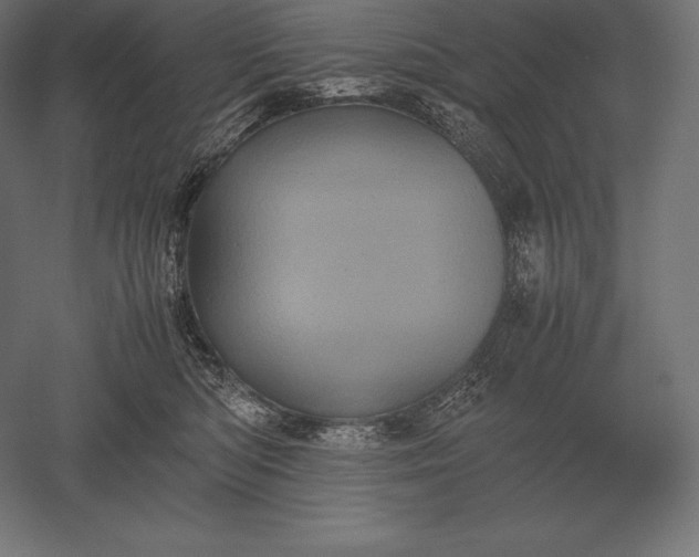 X0000051270422200507011750