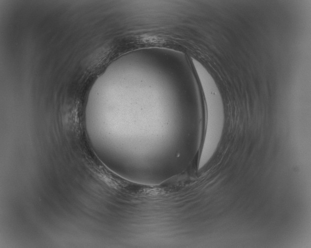 X0000051270424200507011750