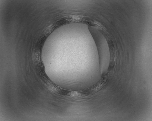 X0000051270425200507011750