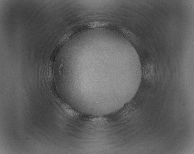 X0000051270426200507011750