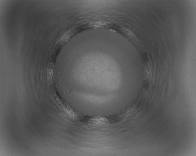 X0000051270427200507011750