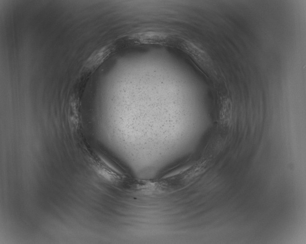 X0000051270430200507011750
