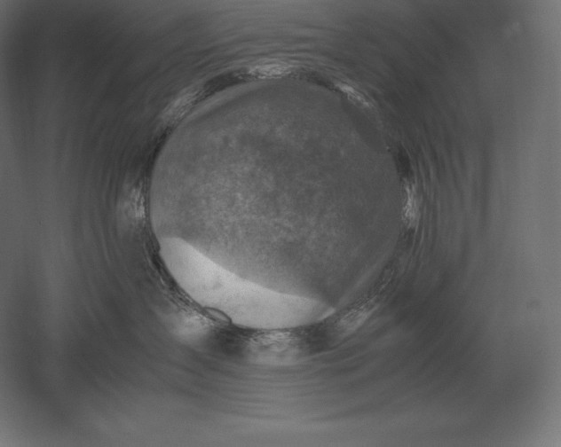 X0000051270431200507011750