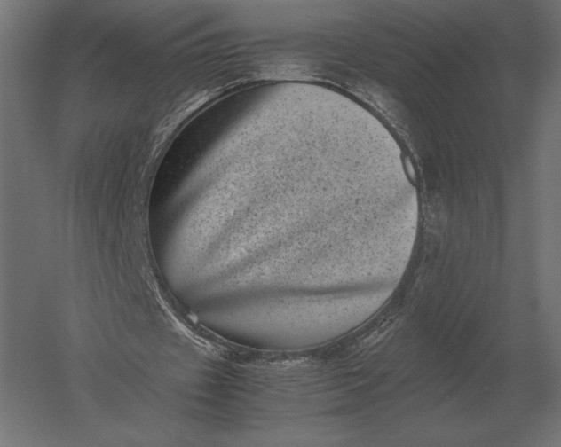 X0000051270433200507011749