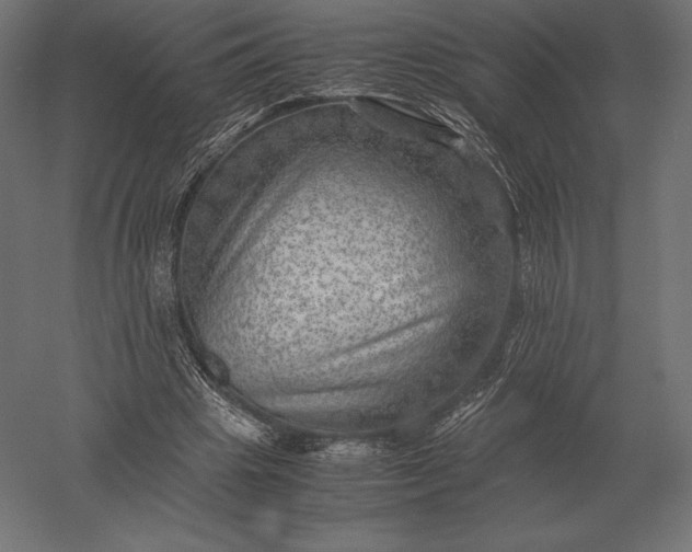 X0000051270441200507011749
