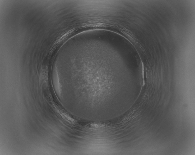 X0000051270442200507011749